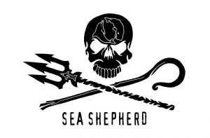 Sea Shepherd réalise une campagne avec des affiches chocs M O